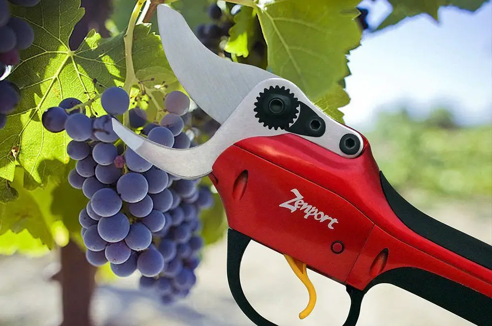 Best battery pruning online shears